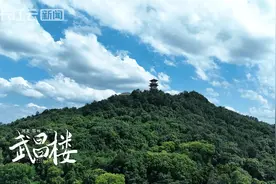 百人齐诵快闪丨西山武昌楼下，与李白一起《将进酒》图片