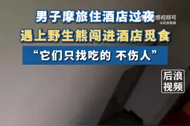 男子摩旅住酒店过夜遇野熊闯入觅食#：它们只找吃的，不伤人图片
