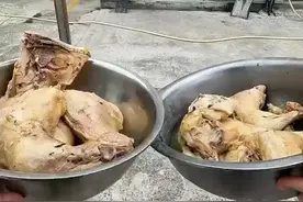 犒劳一下我们的警犬啦图片