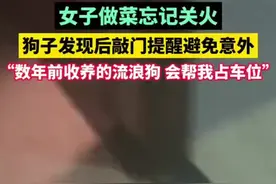 女子做菜忘关火烟雾弥漫，狗子发现后敲门提醒图片