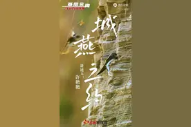 一线记者讲故事 | 基层见闻：城燕之约图片