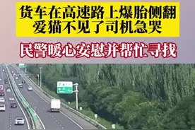 货车高速爆胎侧翻司机因猫丢了大哭图片