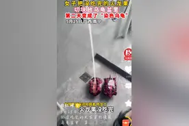 火龙果化身染色艺术家！南宁女子饲养乌龟无意使乌龟变红 引发热议图片