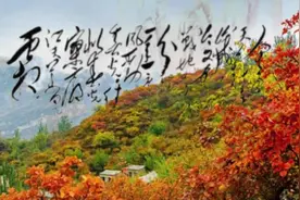 重阳节读毛主席的《采桑子.重阳》图片