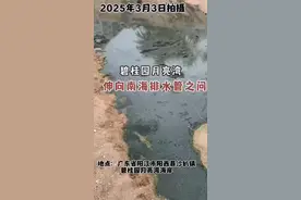 广东，沙扒镇伸向南海的管道排的是生活污水？还是雨洪水？图片