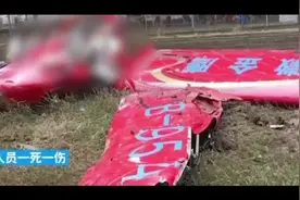安徽一架飞机坠落致1死1伤，镇政府：死者疑为教练图片