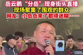 真“岳”假“岳”？根本分不清！谁看了不迷糊~图片