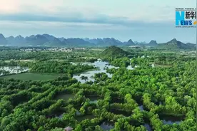 美丽漓江调研行丨山水间的呵护图片