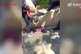 点赞！云南昭通一男子爬进污水井成功救出6岁男童图片