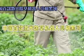 国内首台激光除草机器人闪亮登场图片