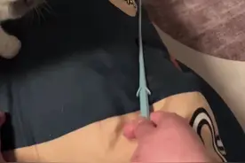 小猫性格，行为图片