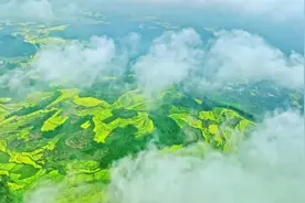 公益广告 | 森林草原防火记心间图片