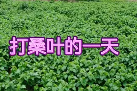 网络上人均月入过万，让我好焦虑图片