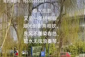 七绝 春水倒影图片