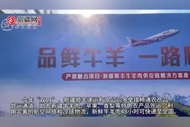 视频 | 从乌鲁木齐出发 新疆新鲜牛羊肉48小时可快递至全国图片