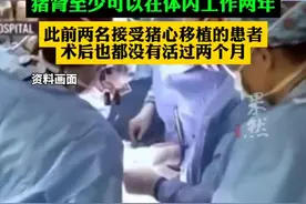 全球首例猪肾移植患者死亡，刚手术两个月手术图片