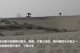殷玉珍的治沙故事感动美国小伙殷一凡，他不远万里来到内蒙古跟随殷玉珍种树图片