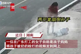 湖南奶奶殴打孙子真相图片