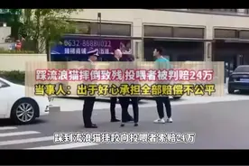 心酸！男子出于好心投喂流浪猫结果却因此摊上官司，评论彻底炸锅图片