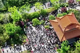 突破100万人！“顶流”骆岗又出圈了图片