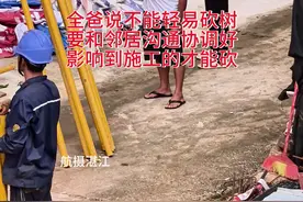 全爸说不能轻易砍树，要和邻居沟通协调好，影响到施工才能砍 #全爸 #迈合村 #航摄湛江 #格调别墅建造