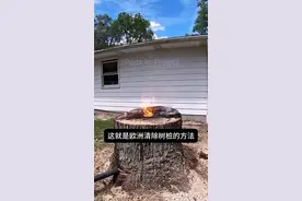 来看看这种清理树桩的方法 视频封面