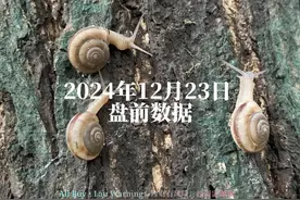 2024年12月20日A股盘前数据 富时中国50三倍做空：跌-1视频封面