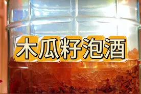 酸木瓜籽泡酒，把酸木瓜发挥到极致。#农村生活  #新农人 #三农 #我的乡村生活
