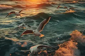 浅秋初尝，时光无恙，愿得一人心，白首不相分图片