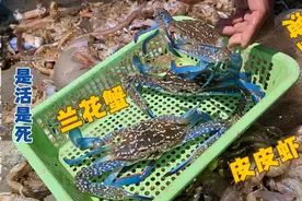 网友组织上船验证视频中渔获到底是真是假？渔获上岸为什么不动？