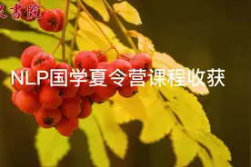 NLP国学夏令营课程十大收获#军事夏令营火热报名中 #夏令营视频封面