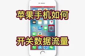 苹果手机如何开关数据流量，教你用手机#科技改变生活 #数码科技