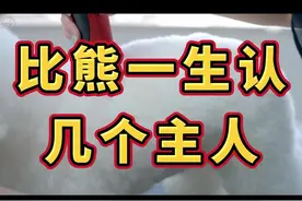比熊一生认几个主人#萌宠 #狗狗 #宠物知识 #科学养宠攻略 #比熊 视频封面