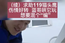 #长耳鸮 #猫头鹰 #爱护大自然保护野生动物 #黑龙江 
求助119猫头鹰伤情好转，跟蓝哥哥混熟了视频封面