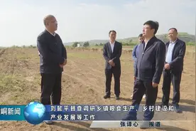 刘懿平督查调研乡镇粮食生产、乡村建设和产业发展等工作(记者视频封面