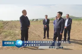 刘懿平督查调研乡镇粮食生产、乡村建设和产业发展等工作(记者视频封面