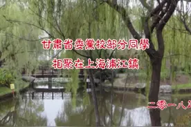 甘肃省委党校部分同学相聚在上海浦江镇视频封面