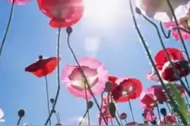 工商银行的年费真是高，真不愧是宇宙银行图片