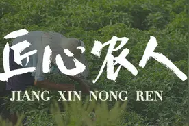 如何成为三农优质创作者图片