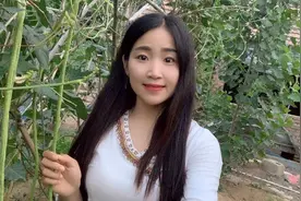 茶妹在小树林等你，你在哪里？图片