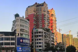 冰河时代587图片