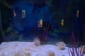 地下城与勇士图片